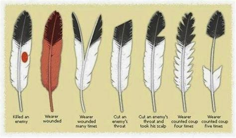Most Tsalagi people wore turkey, water fowl, and more common bird feathers because they were also sacred, but common. . Cherokee nation eagle feather application